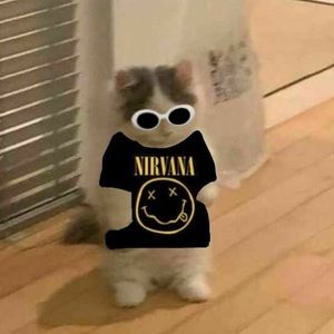 Meet your Posher, Alberto